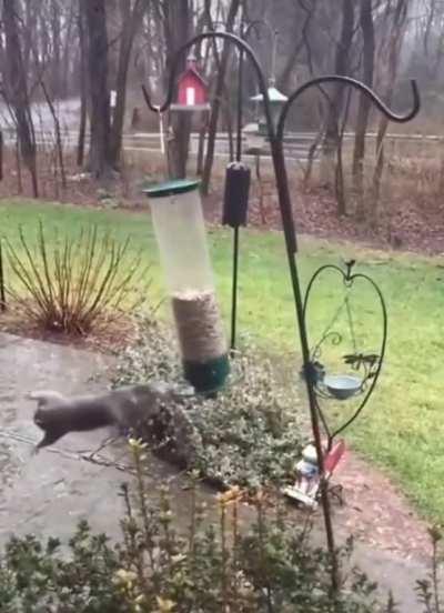 Onso exploring crazy human tech while visiting earth