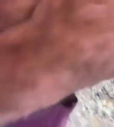 Showed that bullet who's boss...