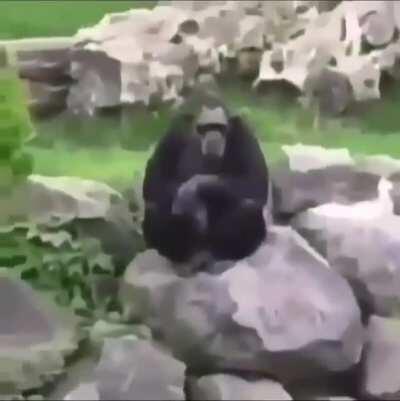 Ein interessanter Titel