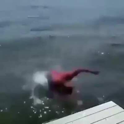 Avengers at the lake