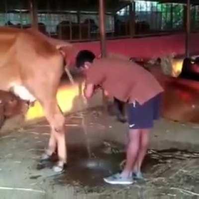 - ain que nao sla doq o muca nao ta abrindo live eu: