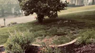 Throwback to spring last year in nashville, Tn