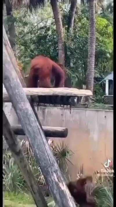 Your people down there need you.