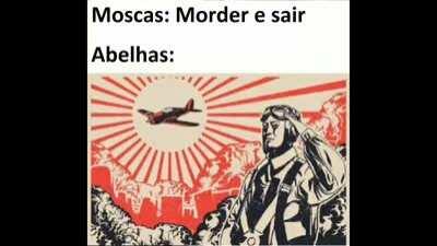 Gloria a Abelha Rainha