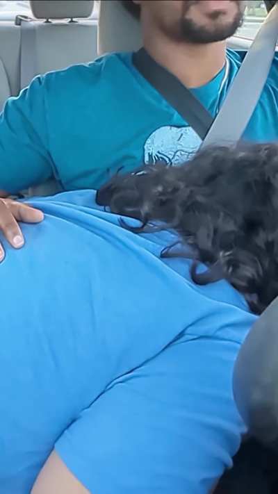 Took her on a date. She showed me her gratitude after 