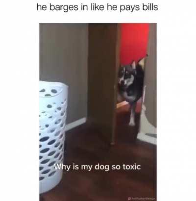 The screams of agony are silent