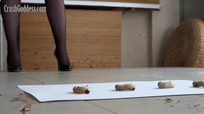 Erika Grub Crush - Bug Crushed