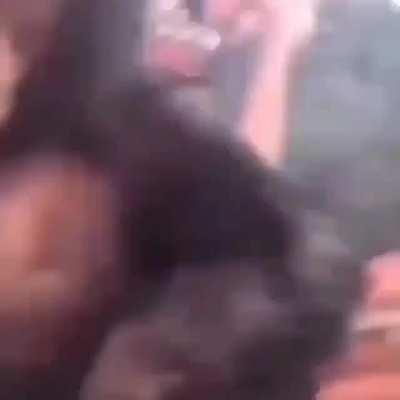 El casoplon del fumetas