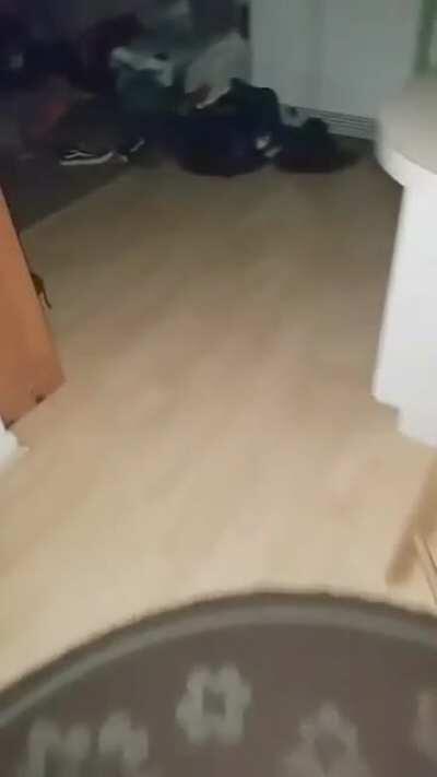 Mods please remove this 5 minutes after posting it