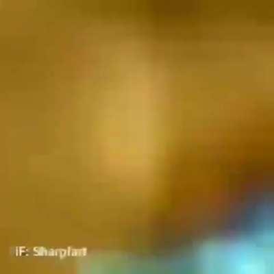 peixe inteligente foudaci