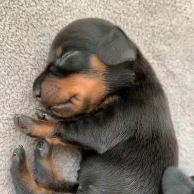 All I do is Eat, Sleep, Eat, Sleep...