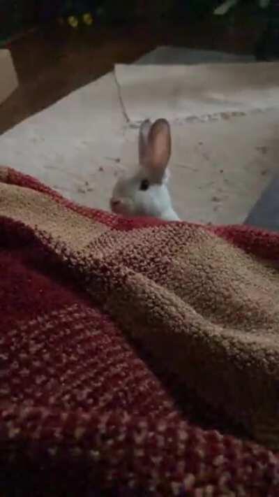 “Whatcha got there?”