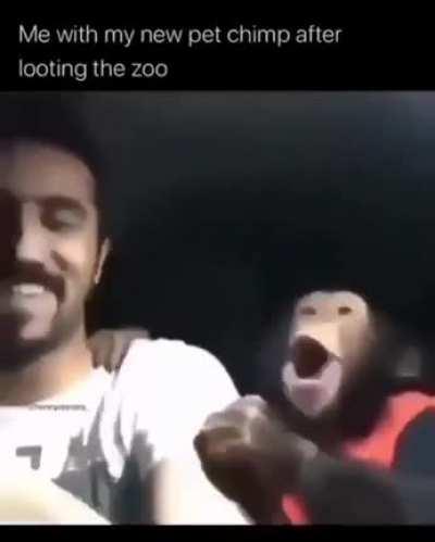 Cuando yo y mi amigo peruano escapamos de latinoamerica: