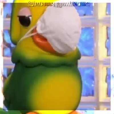 Adeus loro Jos&eacute;