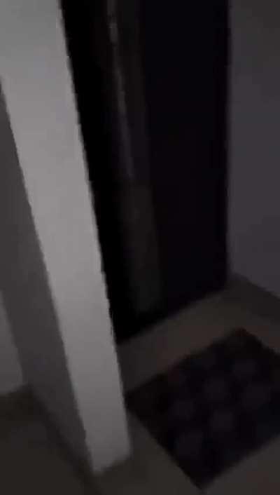 Found it on Chinese telegram group, not sure if it's fake or real