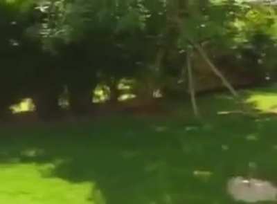 Trish Stratus in a early 2000s WWE Divas DVD