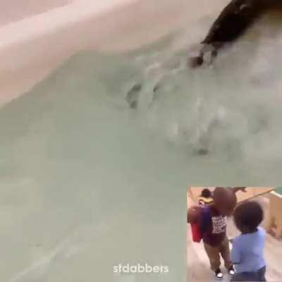 An interesting title