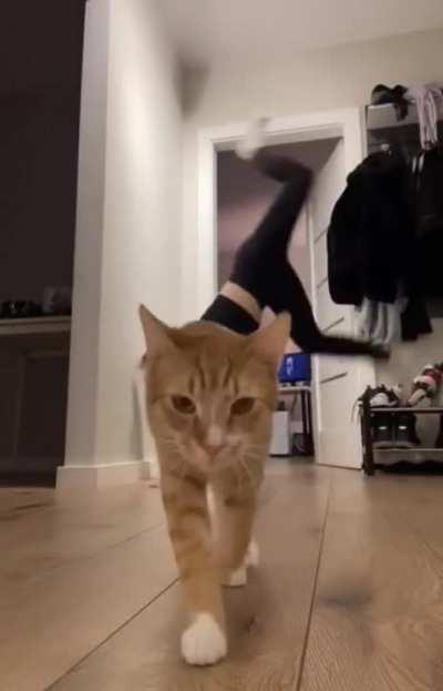 I want to show you something