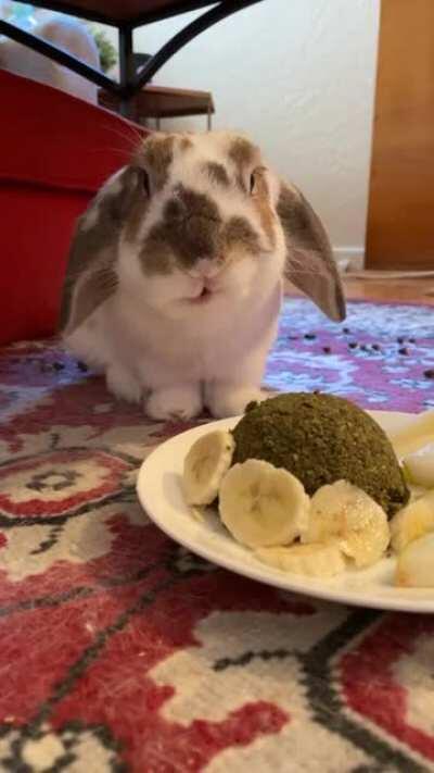 Wiggles turned 9 years old, so he got a cake. Sound on for those sweet banana noms