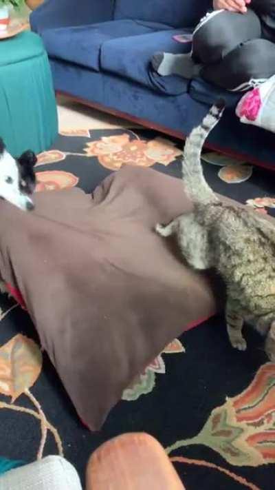 Finally some fucking justice