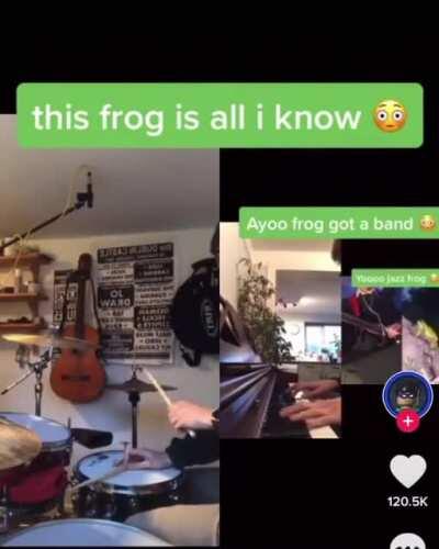 Thanks, I love this frog and his band