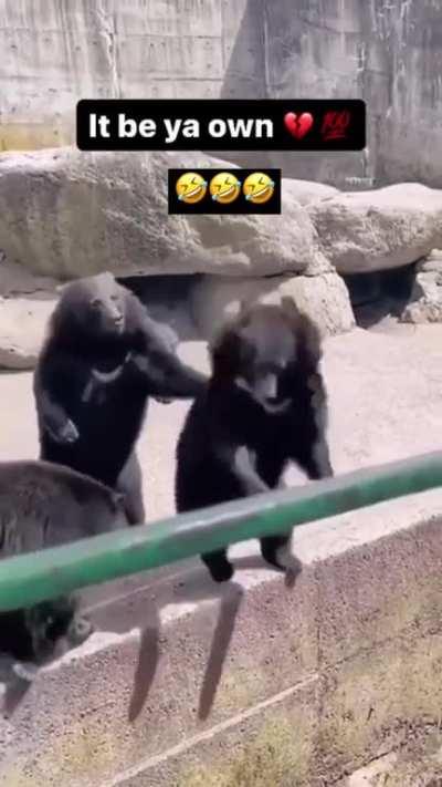 Bro wtf 😭😭😭