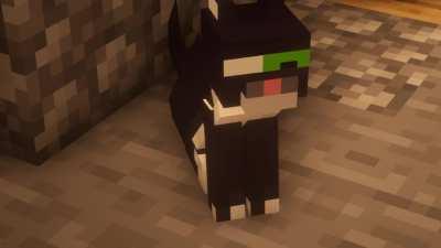 Cats are not what they seem