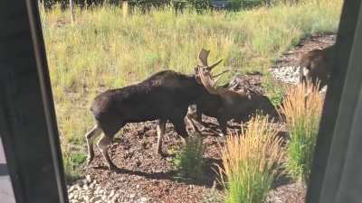 Me and my morning coffee