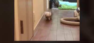 Playing against a Mishima be like