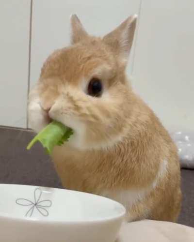 Don't forget to eat your greens...