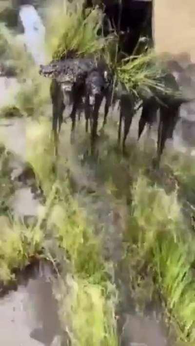 his ass IS trying to relax