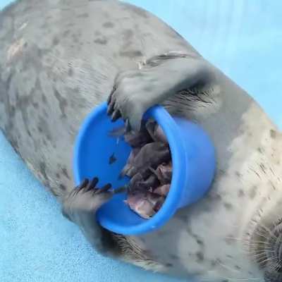 Yo-chan got embarrassed 😓