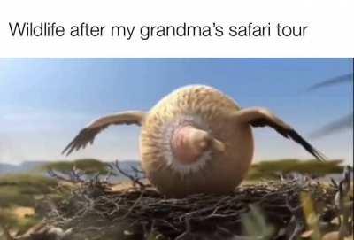 Hunger is no more (old OC)