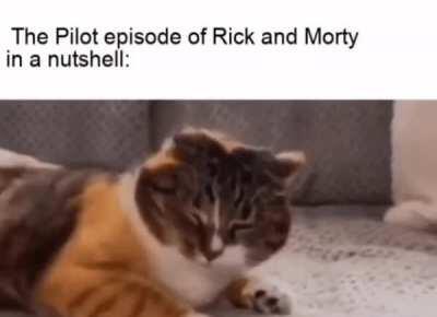 Come on Morty. You gotta come with me [burps].