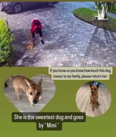 POS neighbor abducts pet from its home