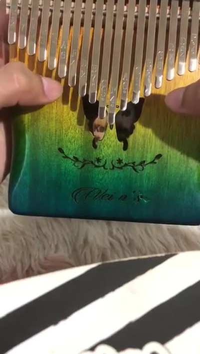 does this sound familiar? (Maria - Kalimba Cover)