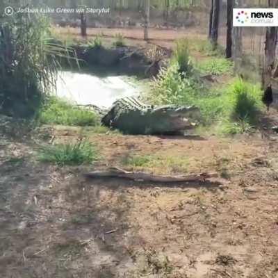 Где-то в Австралии