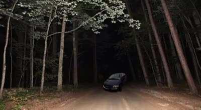 ace dies in a car crash while listening to country roads asmr