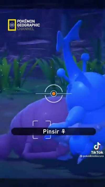 Top 5 peleas que casi destruyen el universo: