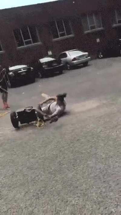 Segway out of control