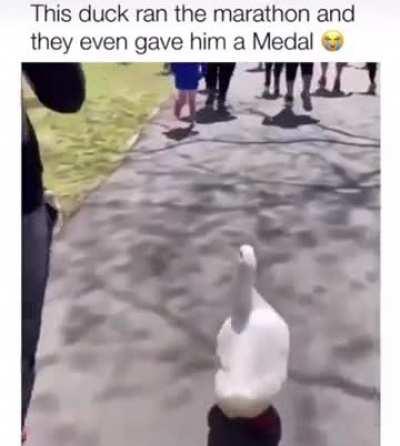 Chad Duck