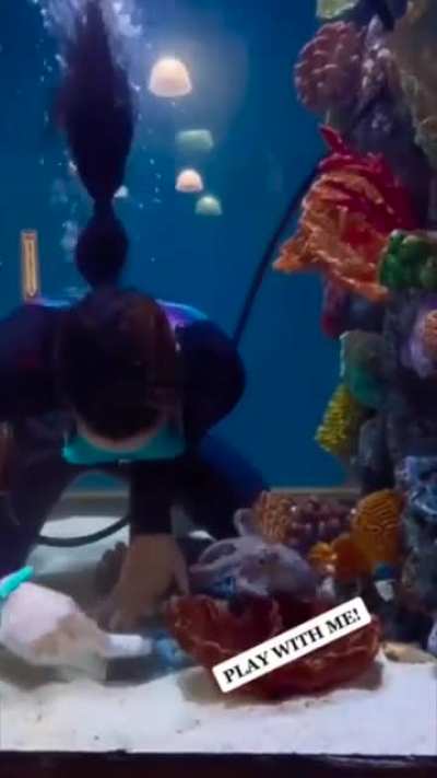 Working with an octopus