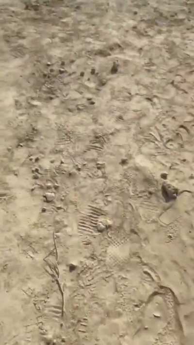 Perfection exists and her name is Isabel Yvonne Hausensteiner