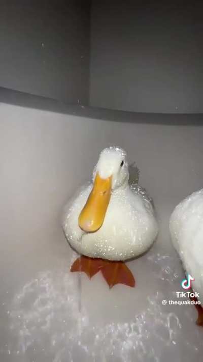 What product will bead like this?