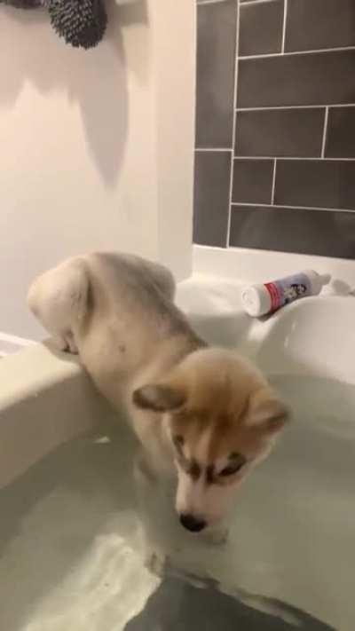 Can’t even take a bath without him LOL