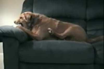 He thinks his leg is trying to steal his bone