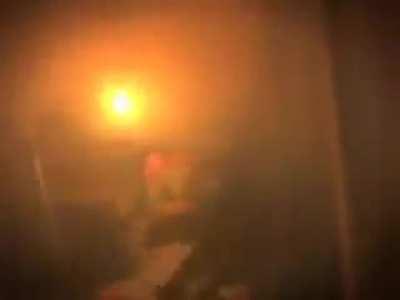 Утиные истории