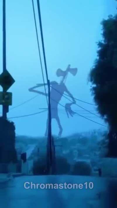 Dança padrão do forte de noite