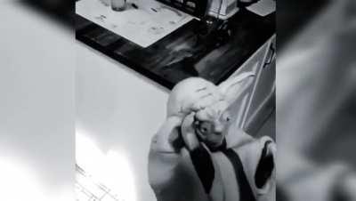 Demorei pra fazer espero que gostem