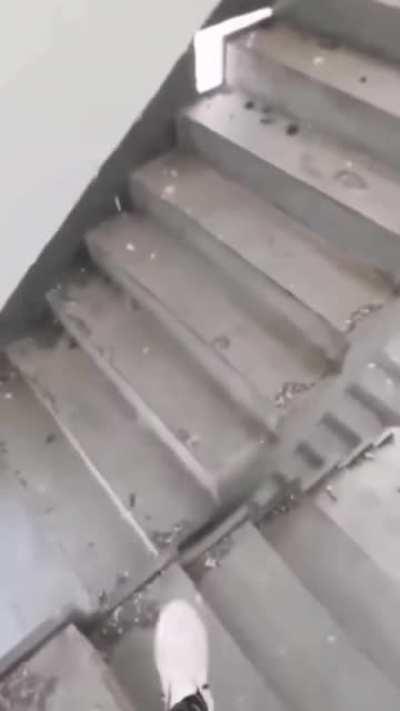 They should hire more experienced crew next time.